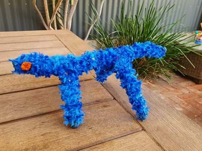 Blue Dingo